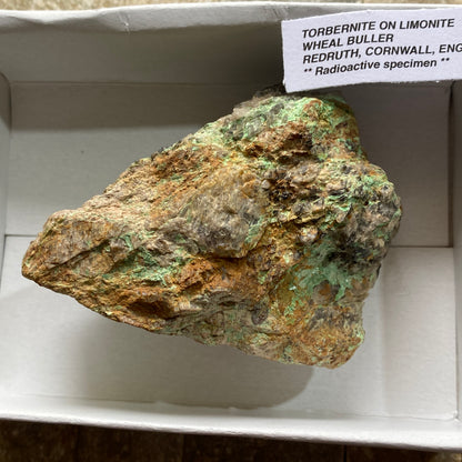 TORBERNITE [ Radioactive] ON LIMONITE - WHEAL BULLER, REDRUTH, CORNWALL, ENGLAND