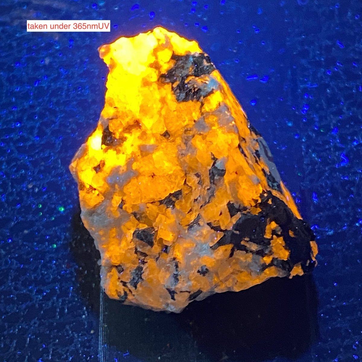 SODALITE : POUDRETTE QUARRY, MOUNT SAINT HILAIRE, QUEBEC, CANADA 19g MF5446