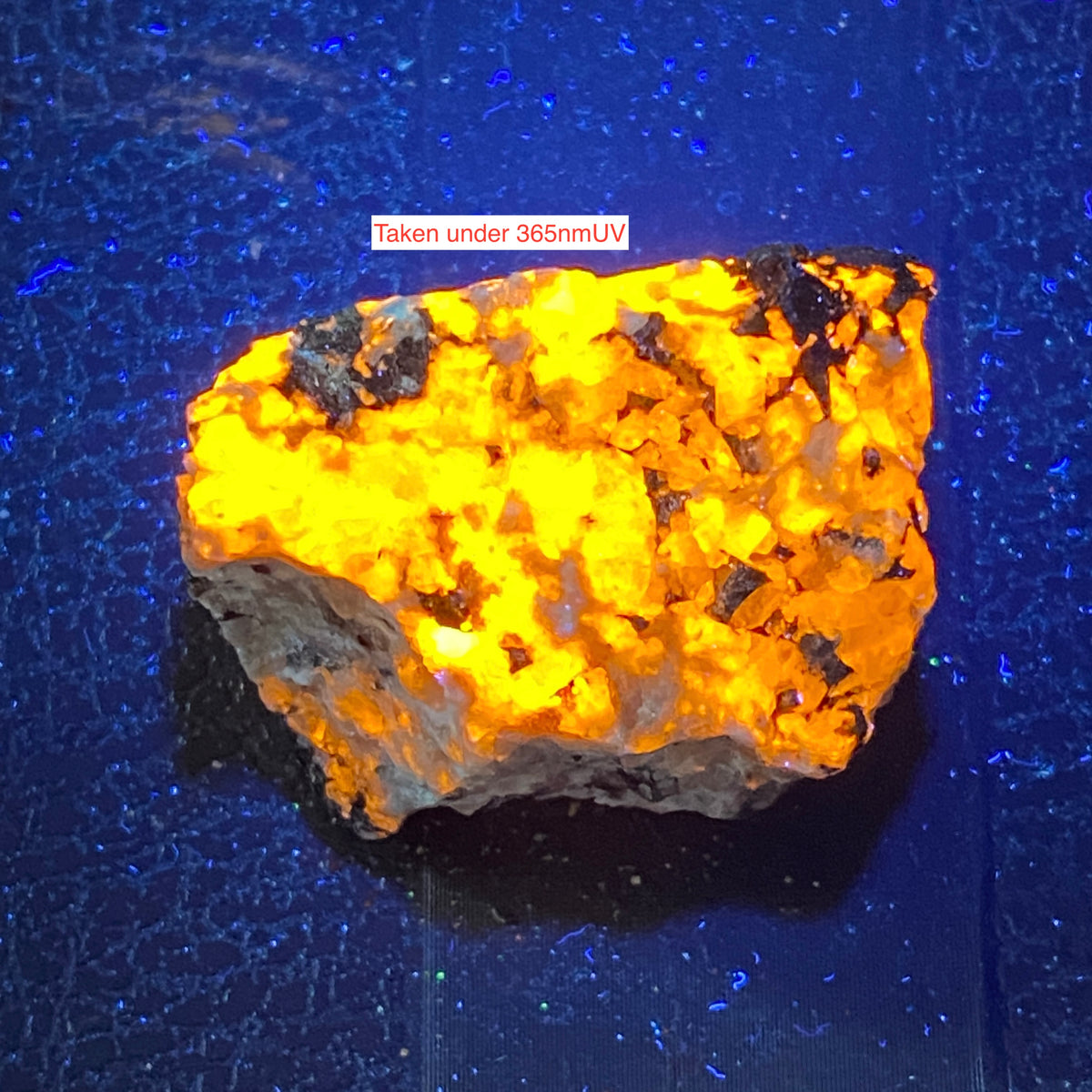 SODALITE : POUDRETTE QUARRY, MOUNT SAINT HILAIRE, QUEBEC, CANADA 19g MF5446