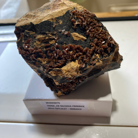 VANADINITE ON MATRIX - TAOUZ, ER RECHIDIA , DRAA-TAFILALET, MOROCCO  341g MF9852