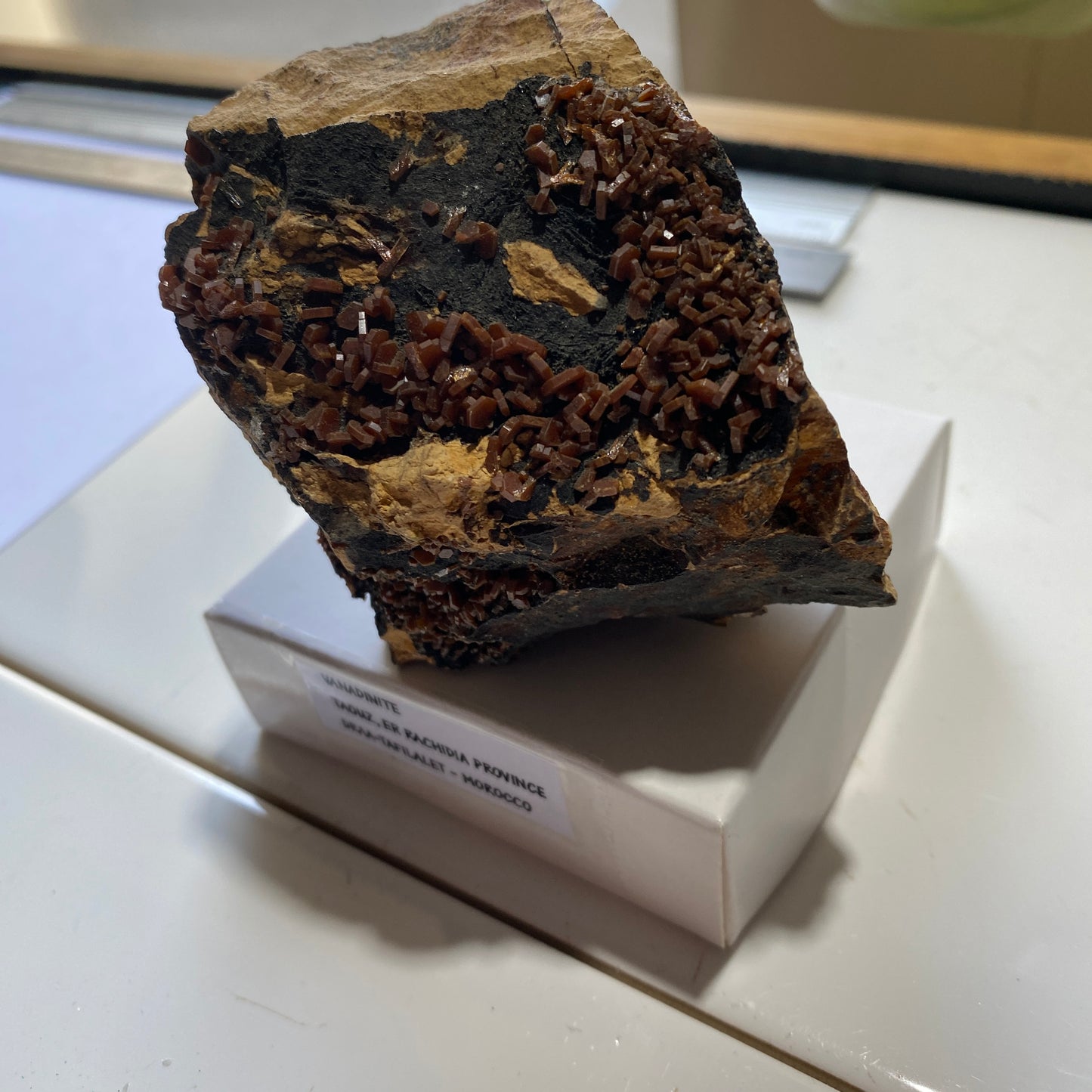 VANADINITE ON MATRIX - TAOUZ, ER RECHIDIA , DRAA-TAFILALET, MOROCCO  341g MF9852