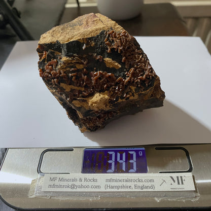 VANADINITE ON MATRIX - TAOUZ, ER RECHIDIA , DRAA-TAFILALET, MOROCCO  341g MF9852