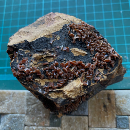 VANADINITE ON MATRIX - TAOUZ, ER RECHIDIA , DRAA-TAFILALET, MOROCCO  341g MF9852