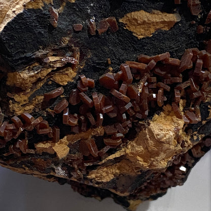 VANADINITE ON MATRIX - TAOUZ, ER RECHIDIA , DRAA-TAFILALET, MOROCCO  341g MF9852