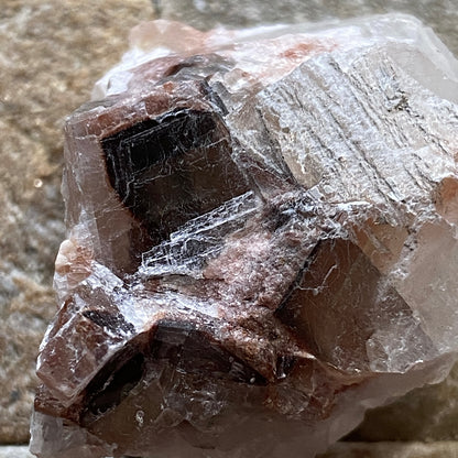 PHANTOM CALCITE : LA AURORA MINE, BOCOYNA, CHIHUAHUA, U.S.A. 20g MF5447