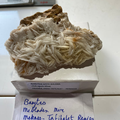 BARYTES - MIBLADEN MINE, MEKNES, ,MOROCCO 183g MF9785