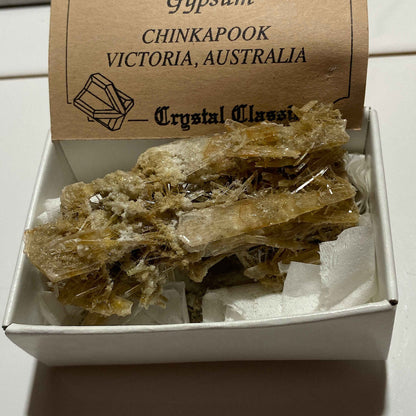GYPSUM/SELENITE : CHINKAPOOK, VICTORIA, AUSTRALIA  31g MF5430