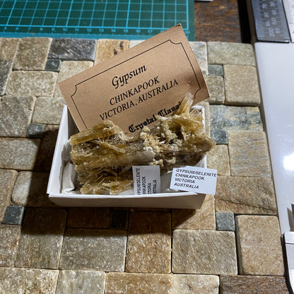 GYPSUM/SELENITE : CHINKAPOOK, VICTORIA, AUSTRALIA  31g MF5430