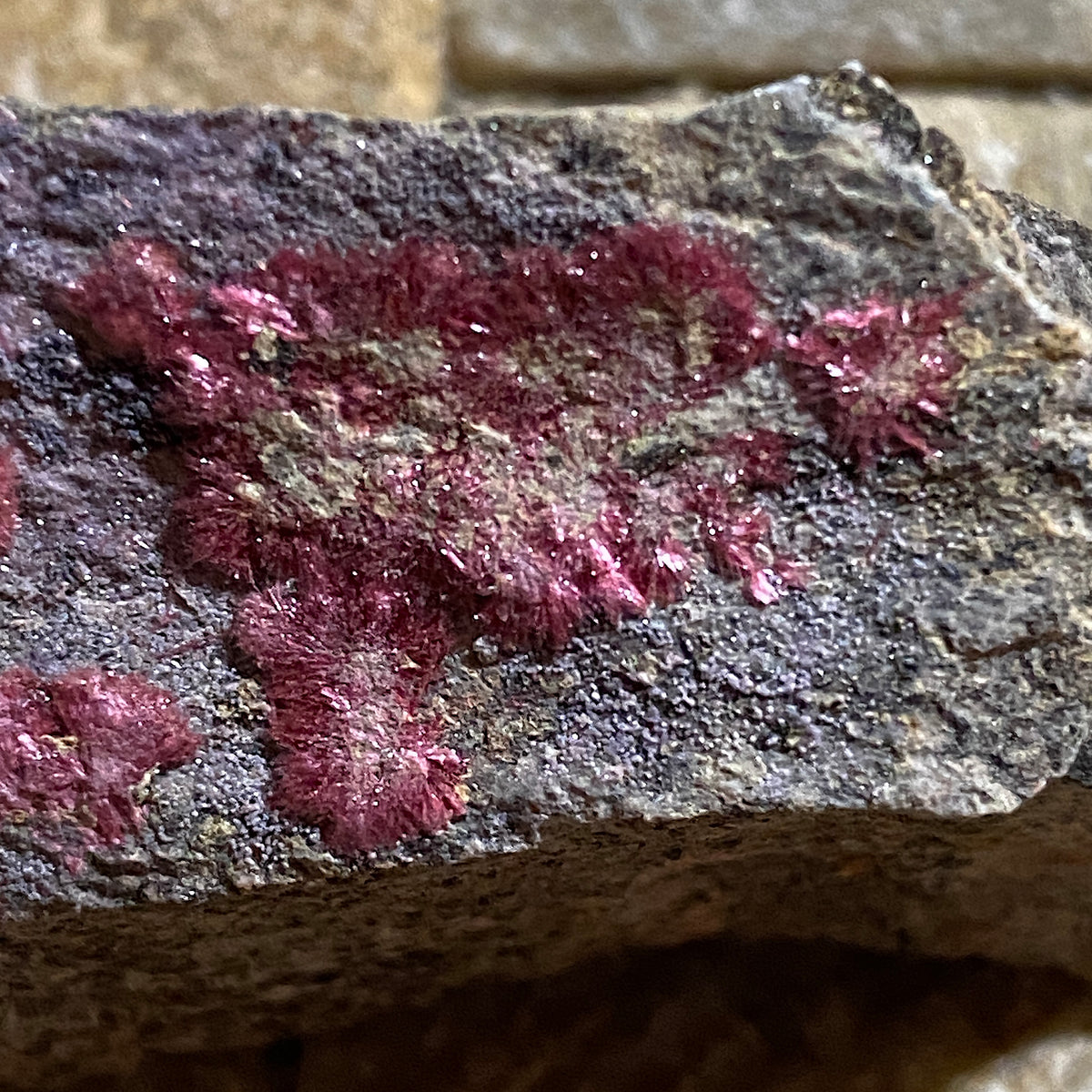 ERYTHRITE : MOUNT COBALT MINE, SELWYN DISTRICT, QUEENSLAND, AUSTRALIA 54g MF5432