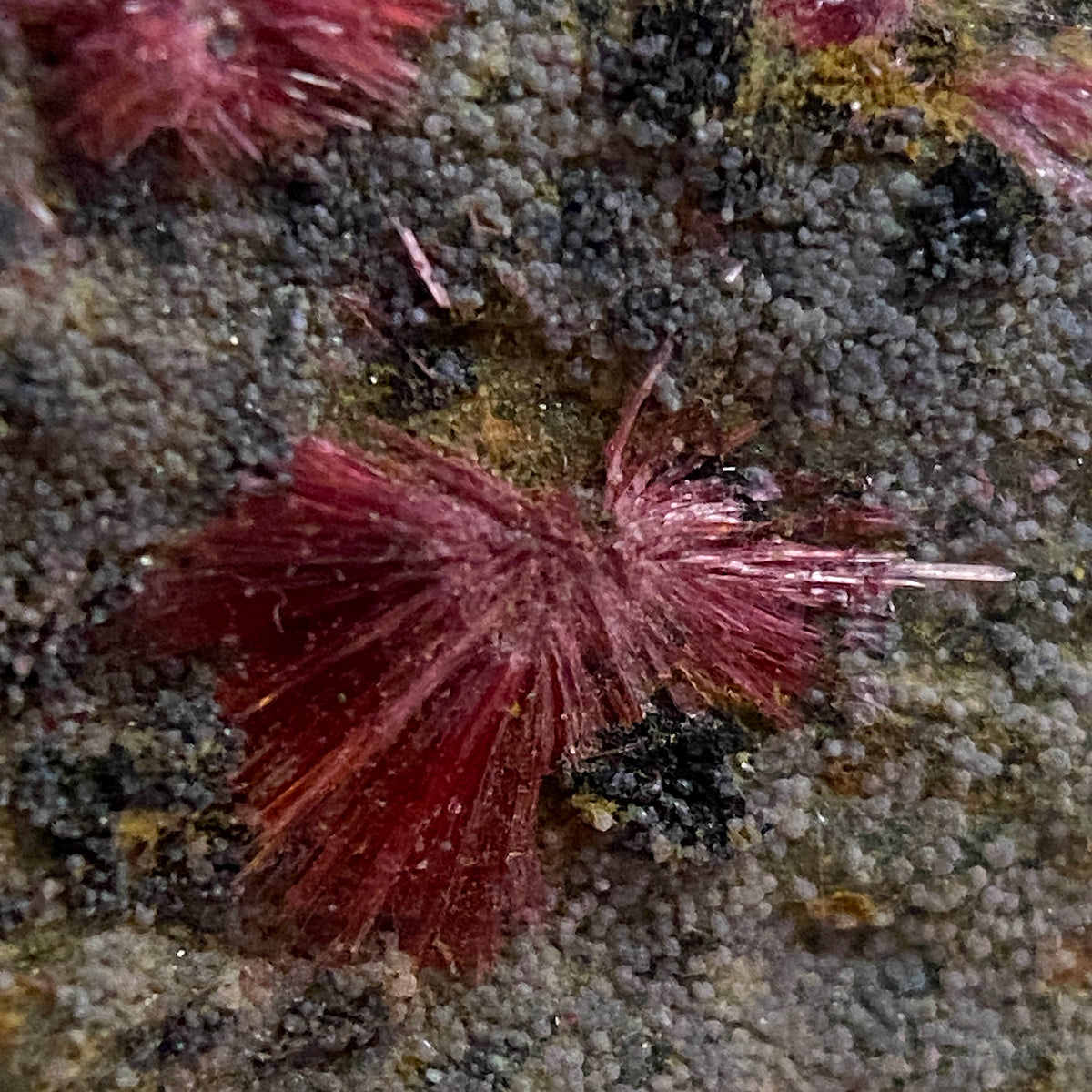 ERYTHRITE : MOUNT COBALT MINE, SELWYN DISTRICT, QUEENSLAND, AUSTRALIA 54g MF5432