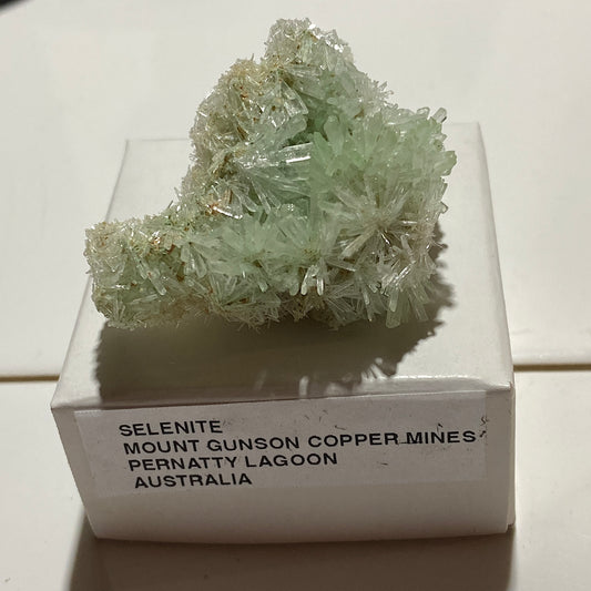GREEN SELENITE UNIQUE TO PERNATTY LAGOON, AUSTRALIA 11g MF5433