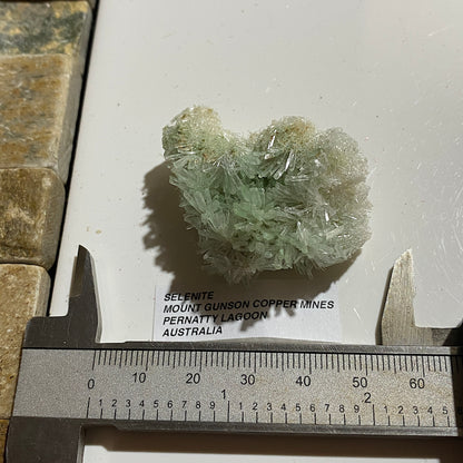 GREEN SELENITE UNIQUE TO PERNATTY LAGOON, AUSTRALIA 11g MF5433