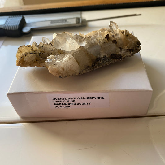 QUARTZ WITH CHALCOPYRITE - CAVNIC MINE, MARAMURES, ROMANIA