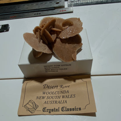 DESERT ROSE GYPSUM : WOOLCUNDA, NEW SOUTH WALES, AUSTRALIA. 39g MF5434