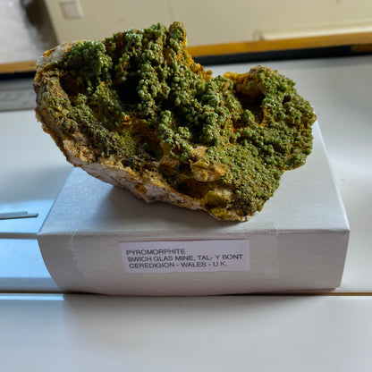 PYROMORPHITE - HARD RIGG EDGE, OUSBY, EDEN, CUMBRIA, ENGLAND