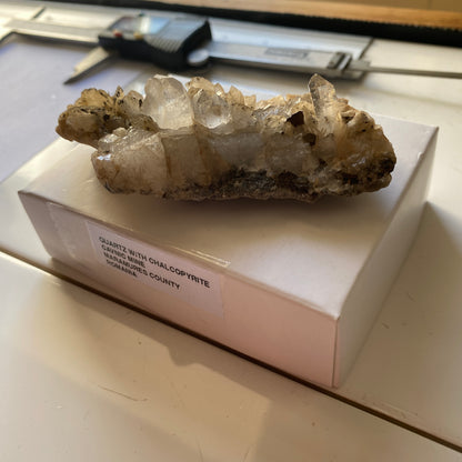QUARTZ WITH CHALCOPYRITE - CAVNIC MINE, MARAMURES, ROMANIA