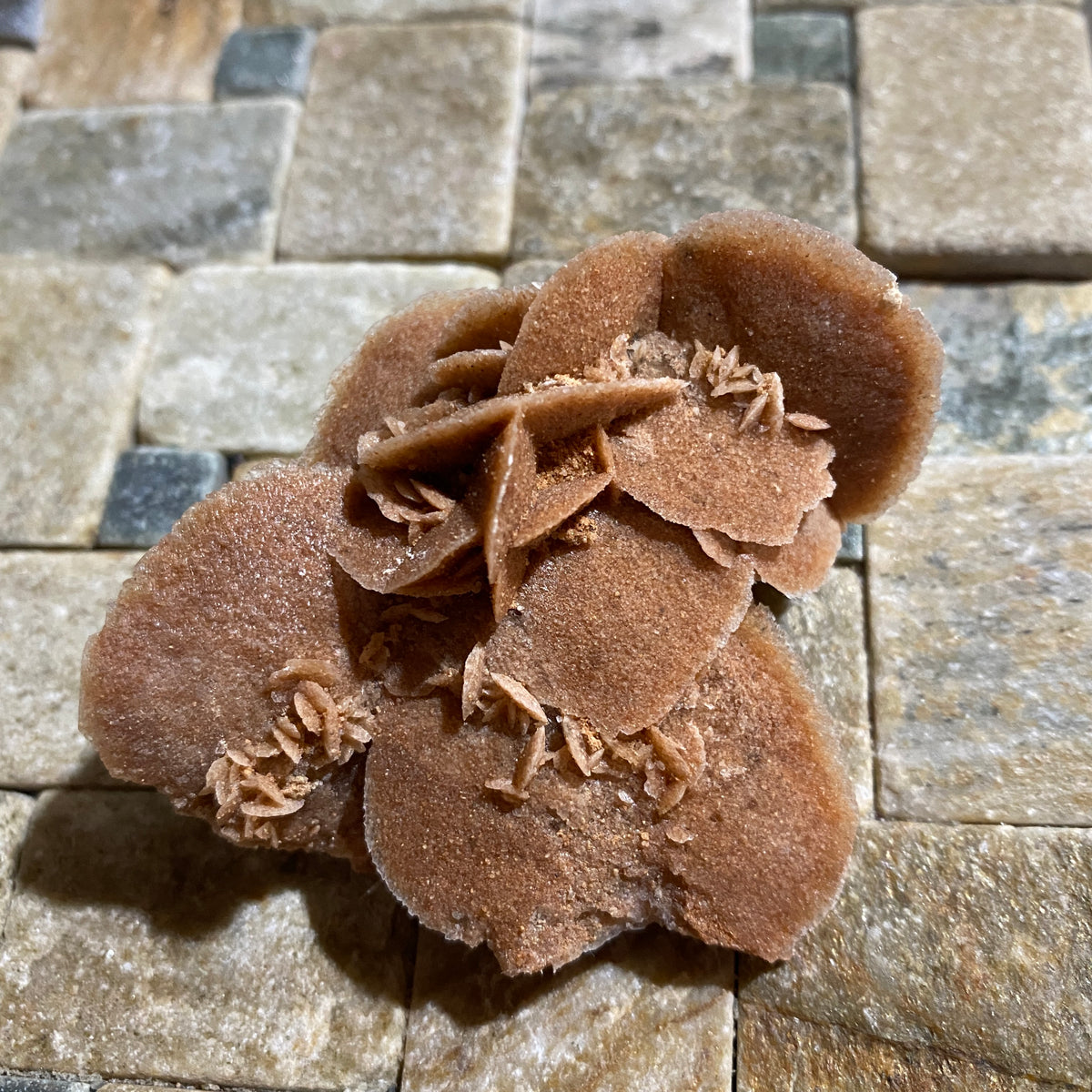 DESERT ROSE GYPSUM : WOOLCUNDA, NEW SOUTH WALES, AUSTRALIA. 39g MF5434