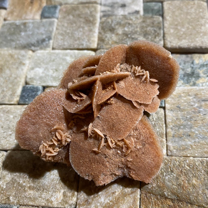 DESERT ROSE GYPSUM : WOOLCUNDA, NEW SOUTH WALES, AUSTRALIA. 39g MF5434