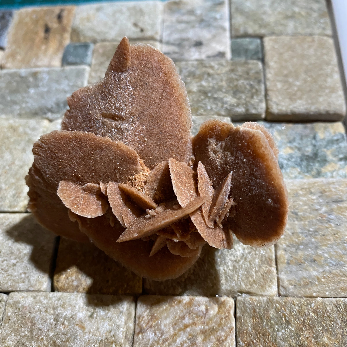 DESERT ROSE GYPSUM : WOOLCUNDA, NEW SOUTH WALES, AUSTRALIA. 39g MF5434