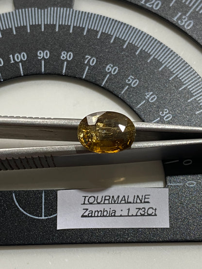 TOURMALINE NATURAL GEMSTONE : MKUSHI, CENTRAL PROVINCE, ZAMBIA RARE STONE 1.73Ct MFG4817