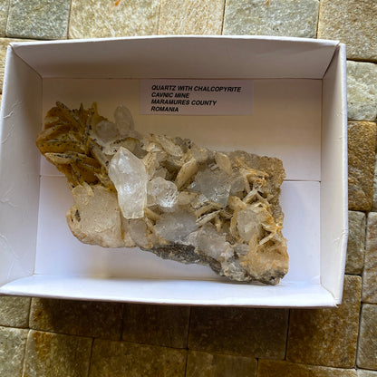 QUARTZ WITH CHALCOPYRITE - CAVNIC MINE, MARAMURES, ROMANIA