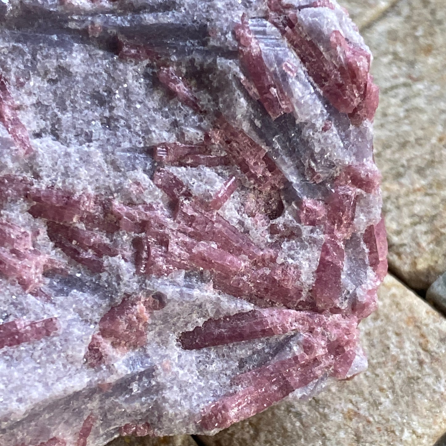 RUBELLITE TOURMALINE IN MICA MATRIX - VARAUTRASK, SWEDEN. 60g MF2092