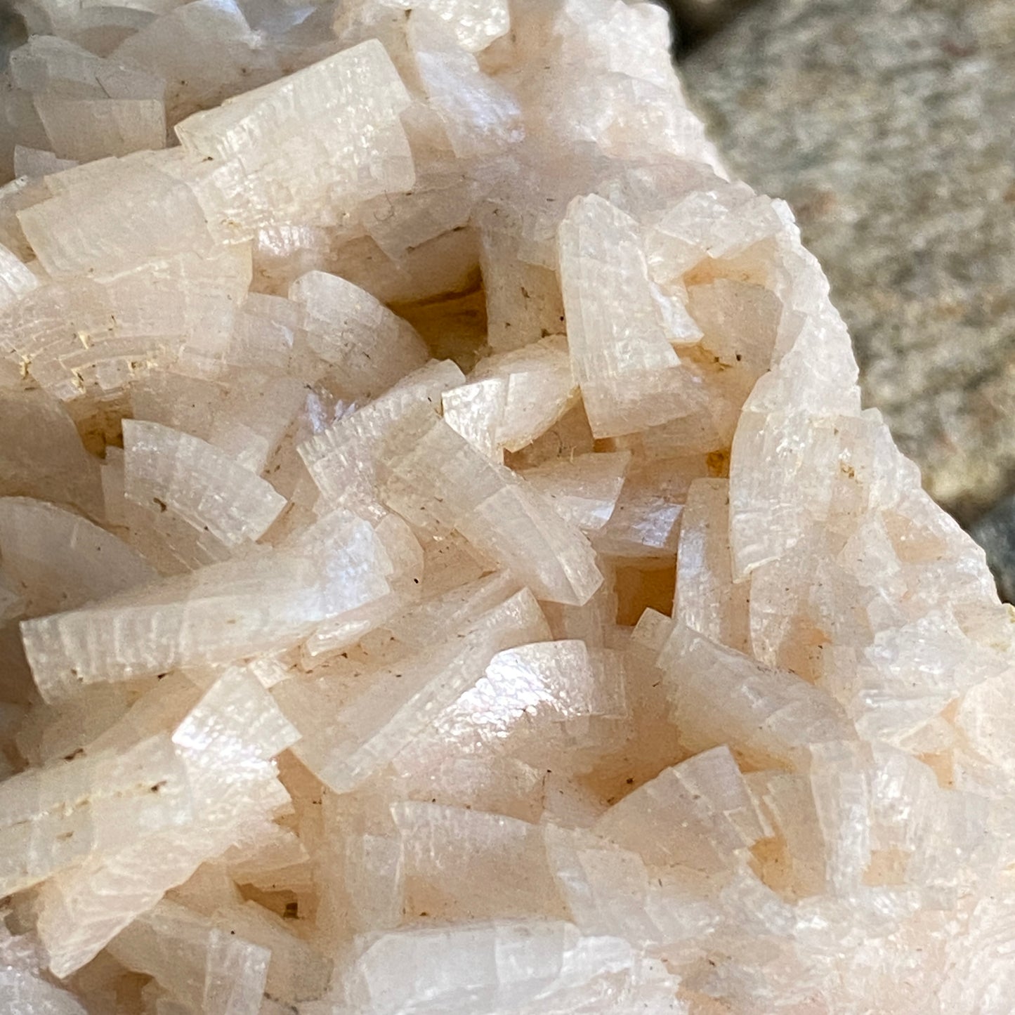 DOLOMITE - TOUSSIT-BOU BECKER, ORIENTAL, MOROCCO  50g MF2108