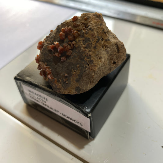 VANADINITE ON MATRIX FROM MIBLADEN, MOROCCO 50g MF960