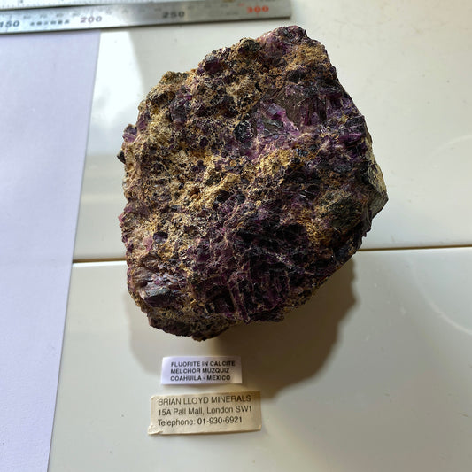 FLUORITE IN CALCITE - MELCHOR MUZQUIZ, C0AHUILA, MEXICO - 1157g MF935