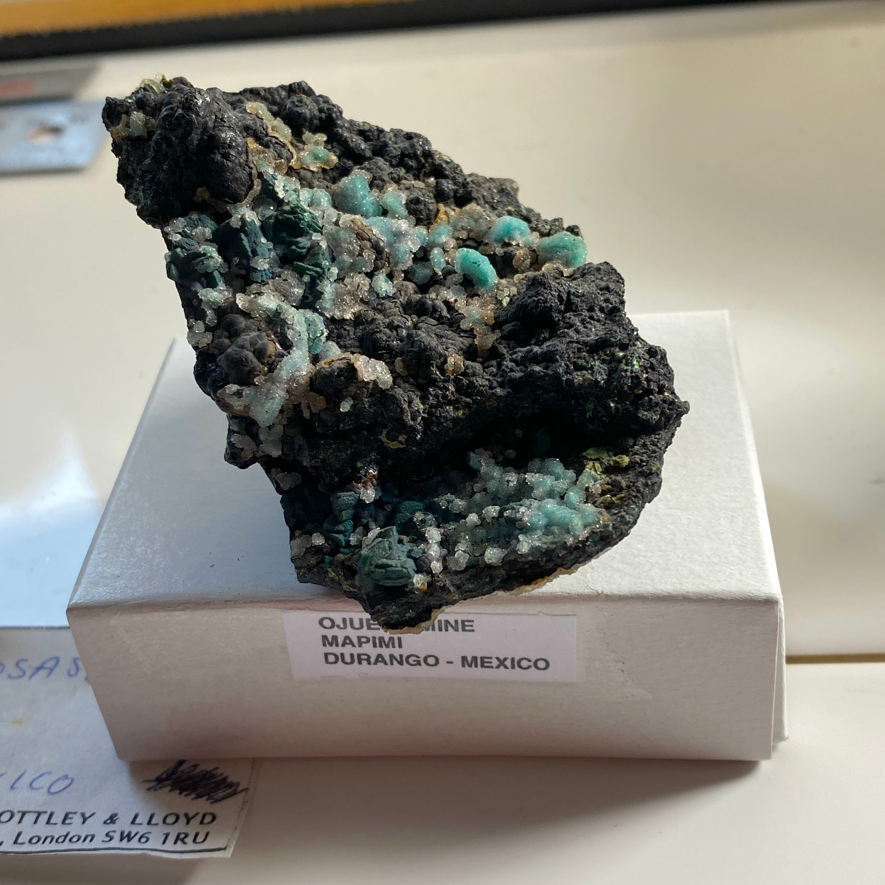 ROSASITE ON BLACK MANGANESE OXIDE MATRIX - OJUELA MINE, MEXICO 53g. MF ...
