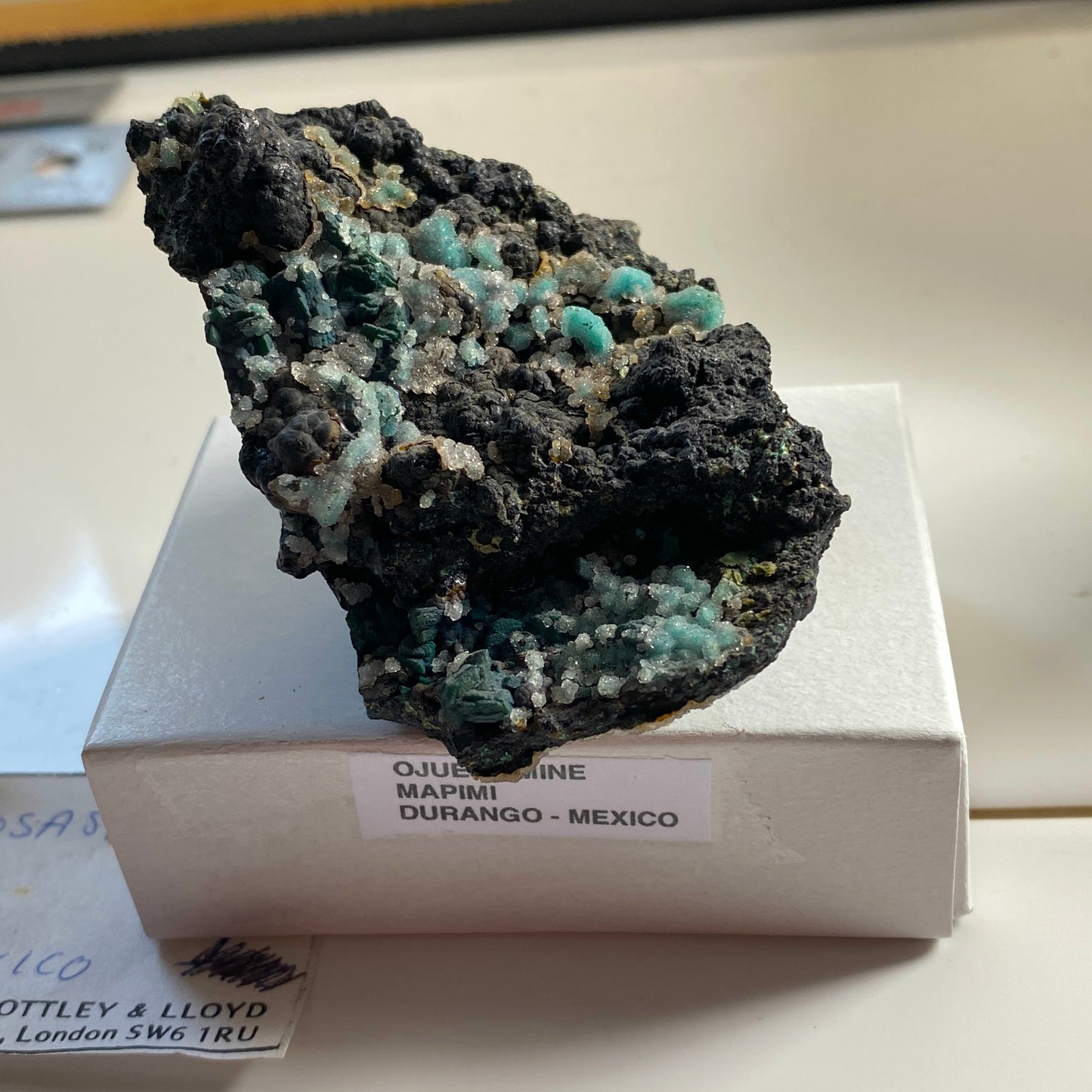 ROSASITE ON BLACK MANGANESE OXIDE MATRIX - OJUELA MINE, MEXICO  53g. MF2169