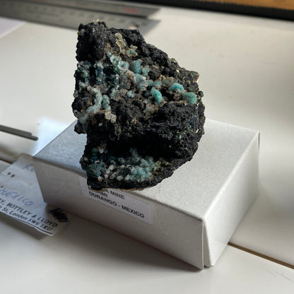 ROSASITE ON BLACK MANGANESE OXIDE MATRIX - OJUELA MINE, MEXICO  53g. MF2169