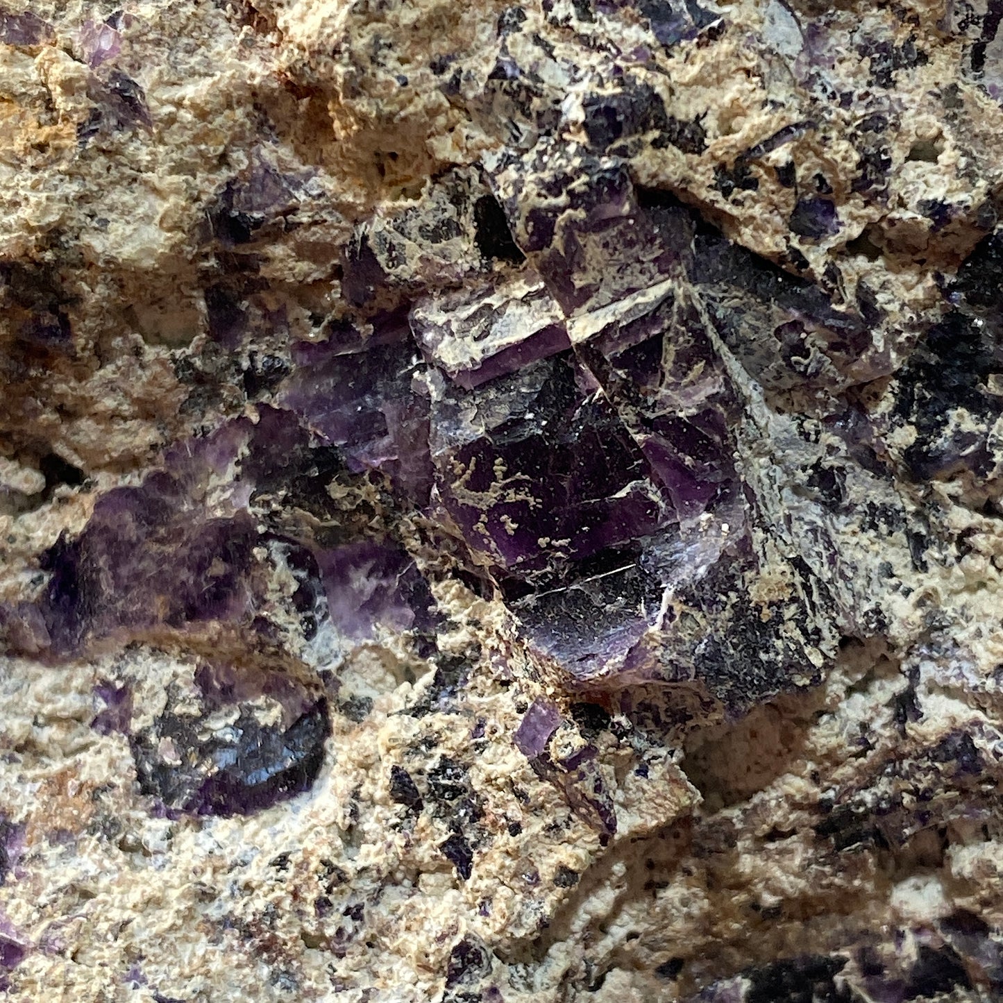 FLUORITE IN CALCITE - MELCHOR MUZQUIZ, C0AHUILA, MEXICO - 1157g MF935
