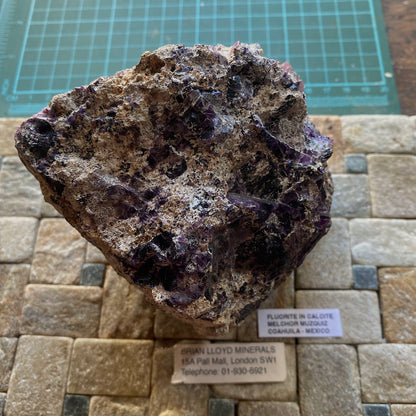 FLUORITE IN CALCITE - MELCHOR MUZQUIZ, C0AHUILA, MEXICO - 1157g MF935