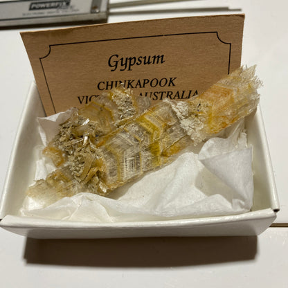 GYPSUM-SELENITE : CHINKAPOOP, VICTORIA, AUSTRALIA. 15g. MF5439