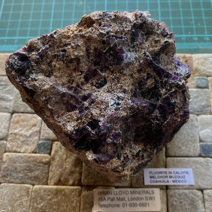 FLUORITE IN CALCITE - MELCHOR MUZQUIZ, C0AHUILA, MEXICO - 1157g MF935