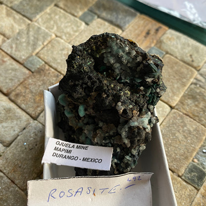 ROSASITE ON BLACK MANGANESE OXIDE MATRIX - OJUELA MINE, MEXICO  53g. MF2169