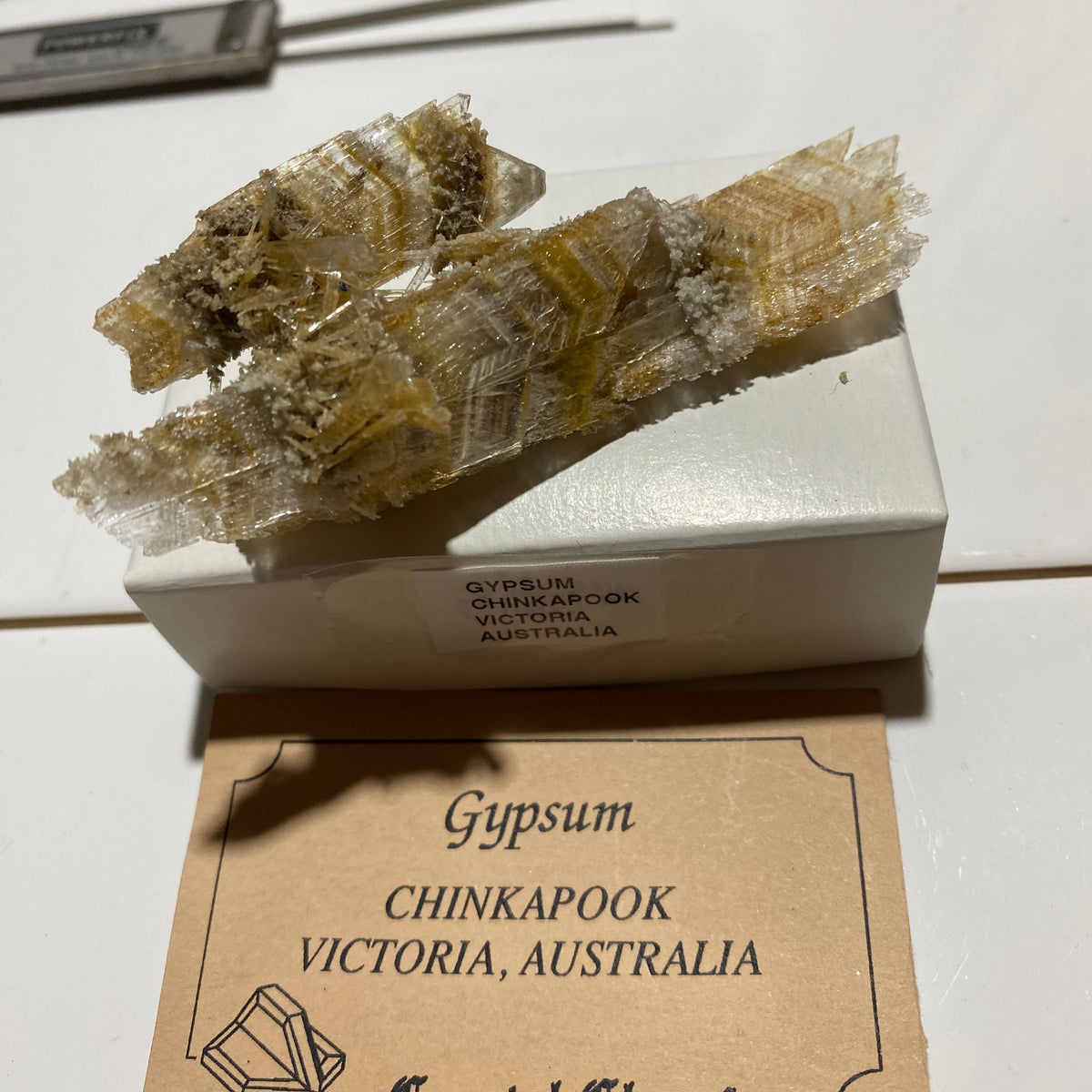 GYPSUM-SELENITE : CHINKAPOOP, VICTORIA, AUSTRALIA. 15g. MF5439
