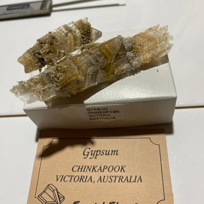 GYPSUM-SELENITE : CHINKAPOOP, VICTORIA, AUSTRALIA. 15g. MF5439