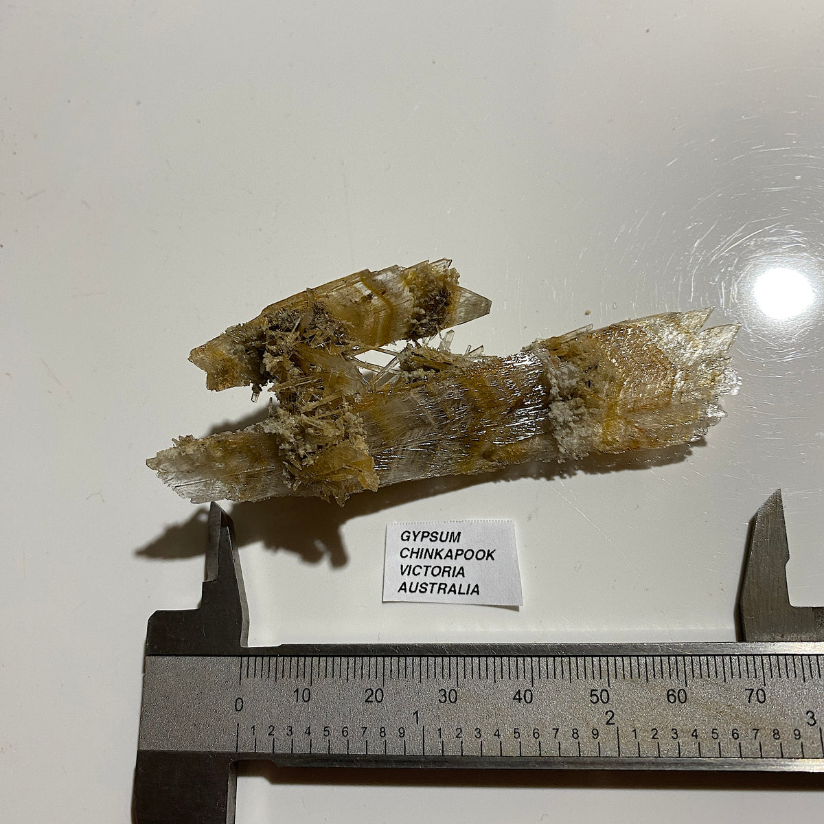GYPSUM-SELENITE : CHINKAPOOP, VICTORIA, AUSTRALIA. 15g. MF5439