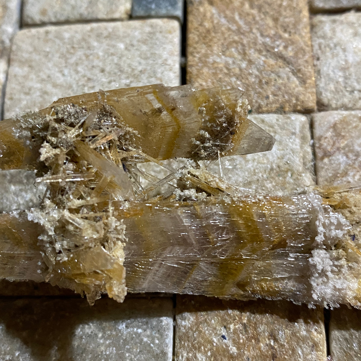 GYPSUM-SELENITE : CHINKAPOOP, VICTORIA, AUSTRALIA. 15g. MF5439