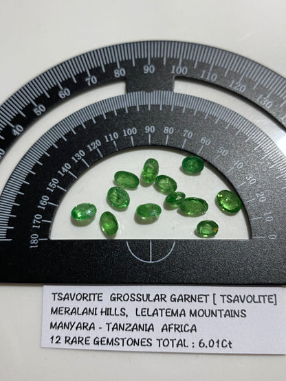 TSAVORITE [TSAVOLITE] RARE NATURAL GEMSTONES : MERALANI, TANZANIA 6.01Ct MFG4825