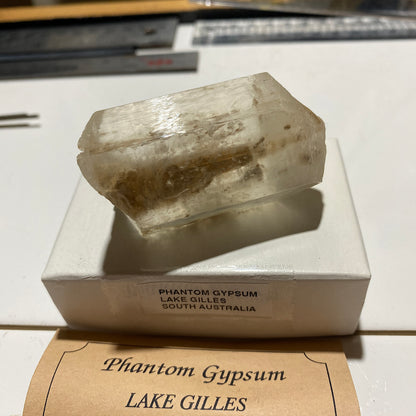 GYPSUM-SELENITE "PHANTOM" CRYSTAL : LAKE GILLES, EYRE PENINSULA, SOUTH AUSTRALIA. 64g  MF5440