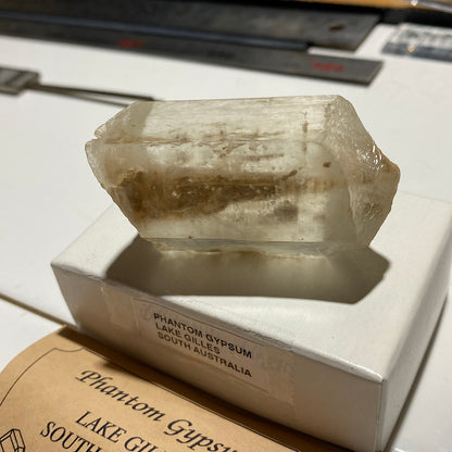 GYPSUM-SELENITE "PHANTOM" CRYSTAL : LAKE GILLES, EYRE PENINSULA, SOUTH AUSTRALIA. 64g  MF5440