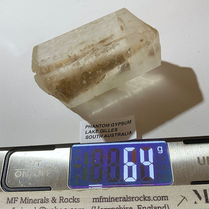 GYPSUM-SELENITE "PHANTOM" CRYSTAL : LAKE GILLES, EYRE PENINSULA, SOUTH AUSTRALIA. 64g  MF5440