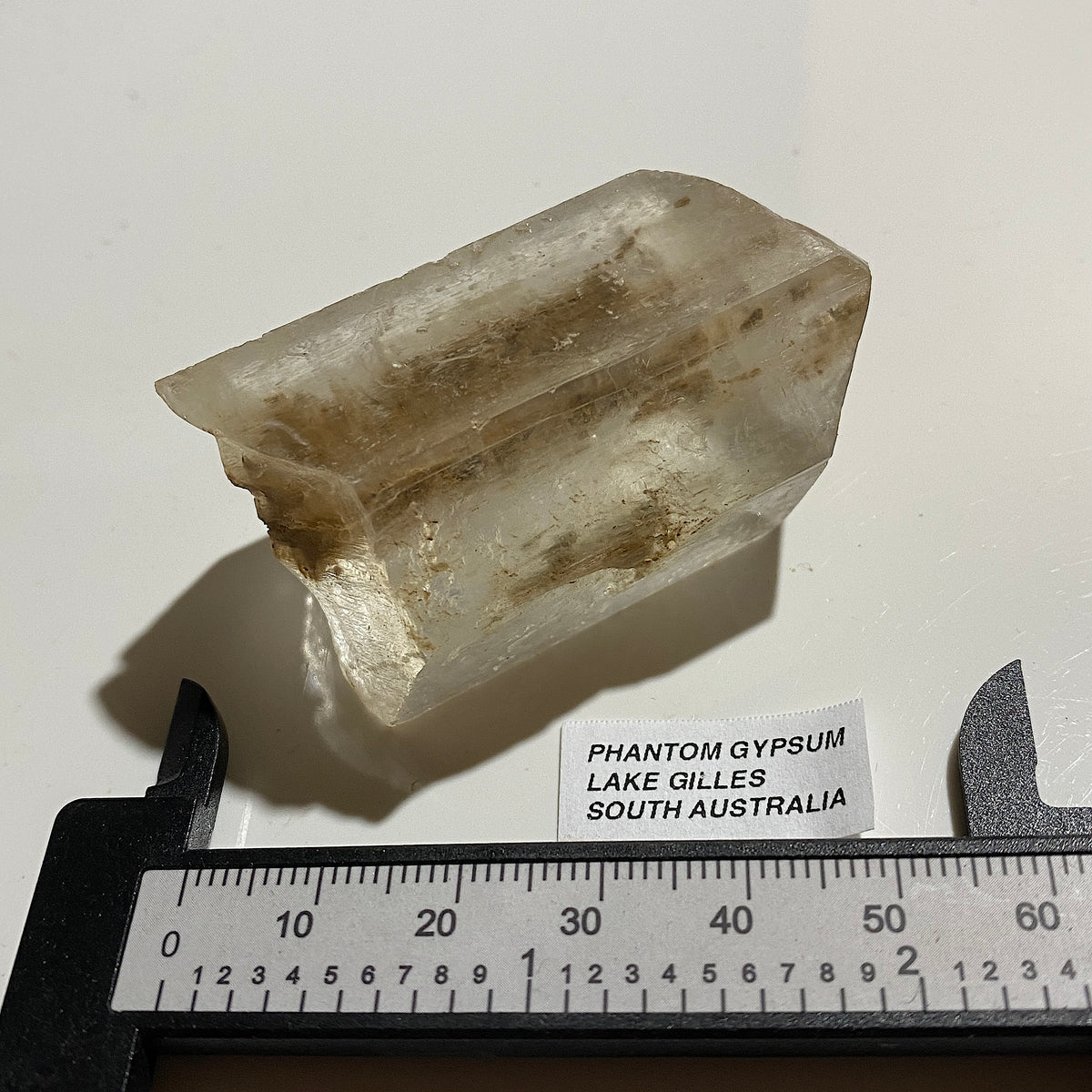 GYPSUM-SELENITE "PHANTOM" CRYSTAL : LAKE GILLES, EYRE PENINSULA, SOUTH AUSTRALIA. 64g  MF5440