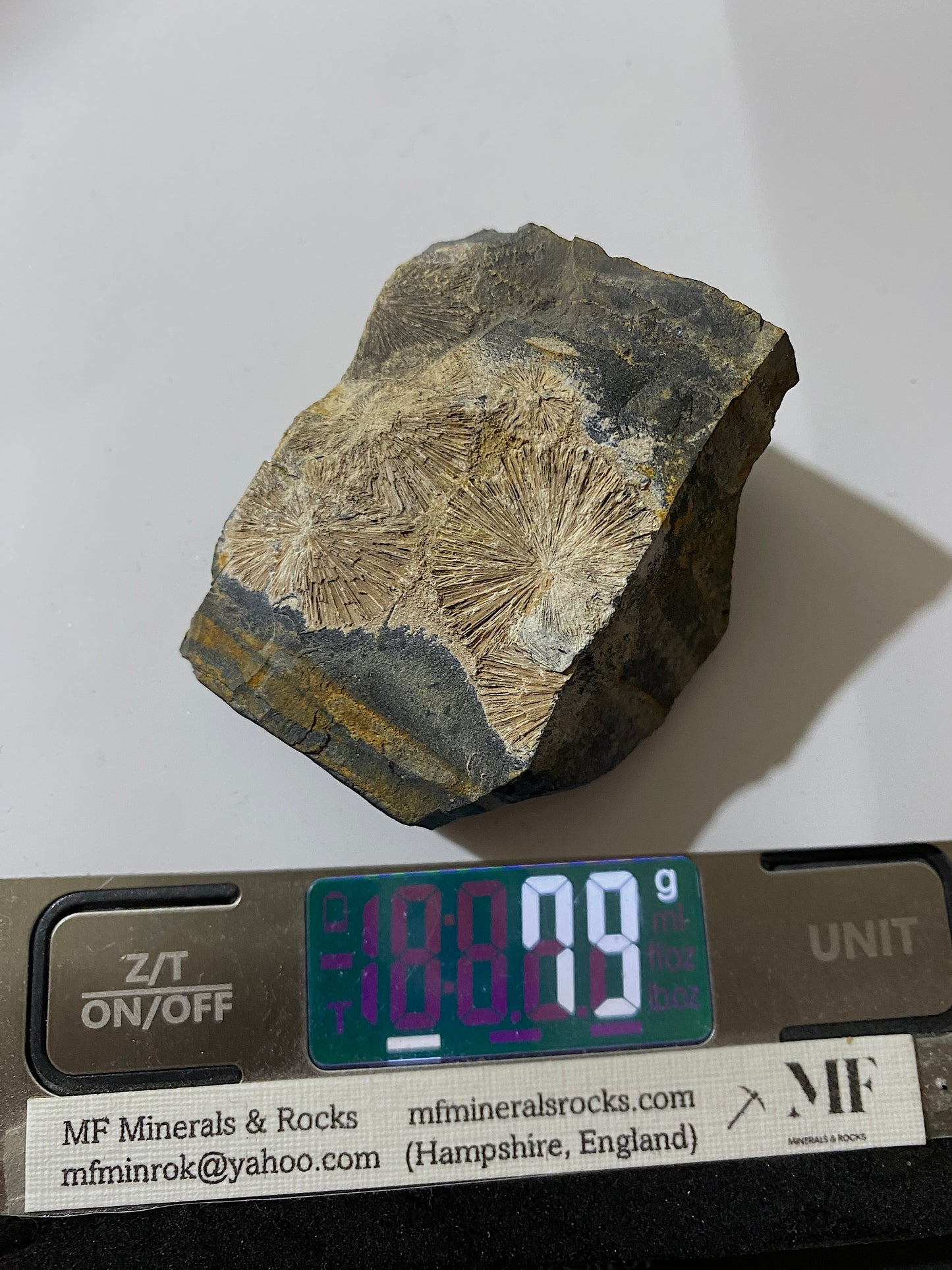 RADIAL CRANDALLITE : MONT-DES-GROSGILLERS, BLATON, BELGIUM  79g MF4733