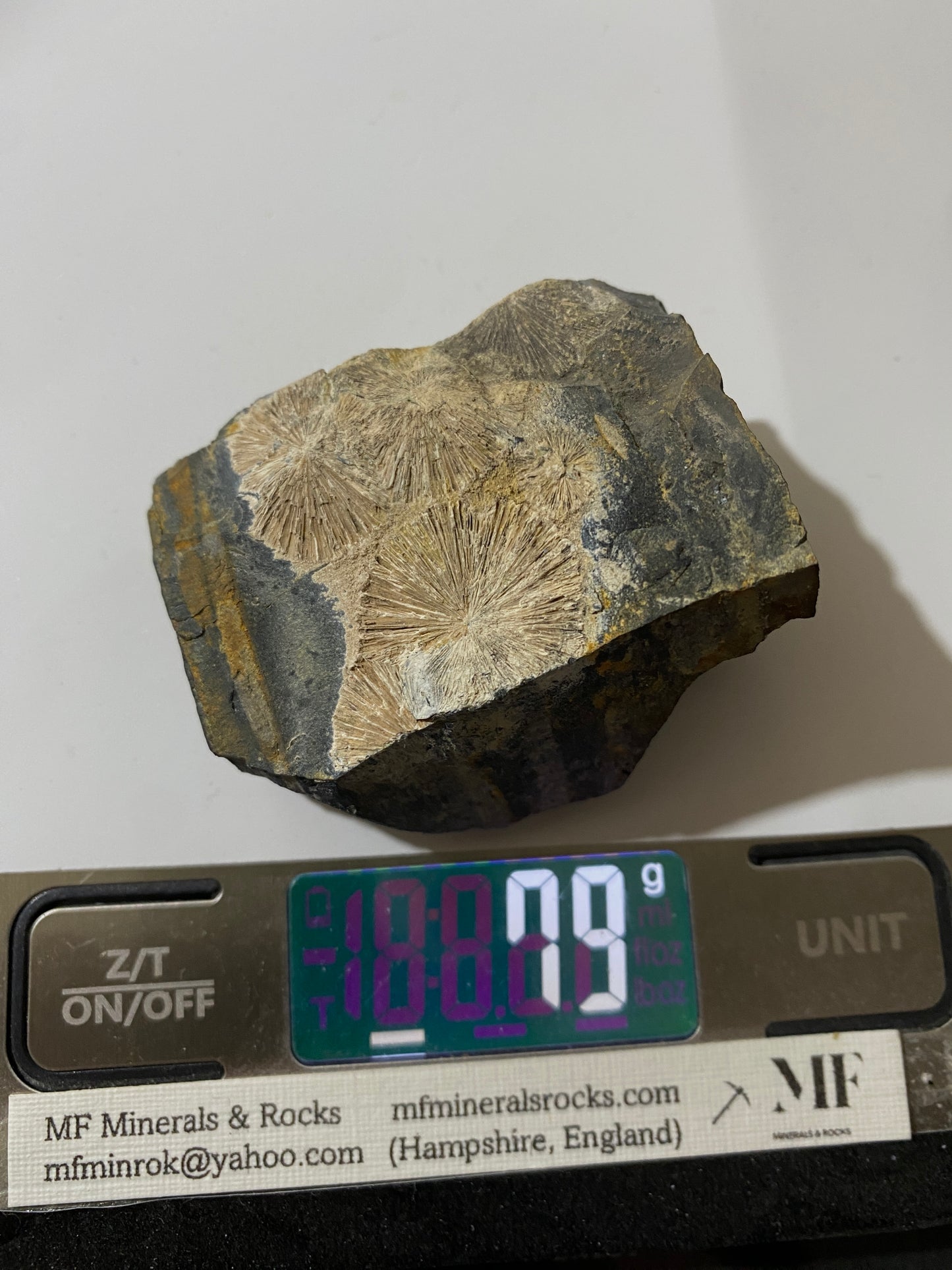 RADIAL CRANDALLITE : MONT-DES-GROSGILLERS, BLATON, BELGIUM  79g MF4733