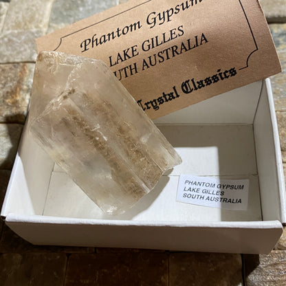 GYPSUM-SELENITE "PHANTOM" CRYSTAL : LAKE GILLES, EYRE PENINSULA, SOUTH AUSTRALIA. 64g  MF5440