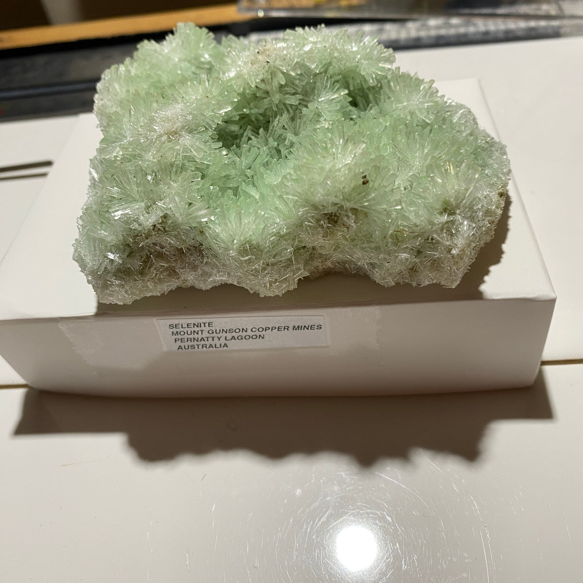 RARE GREEN SELENITE FROM PERNATTY LAGOON, AUSTRALIA LARGE 124g. MF5441